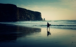 Molestie Quis Augue Pulvinar